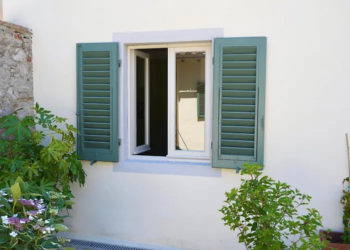 The Gardener - Charming