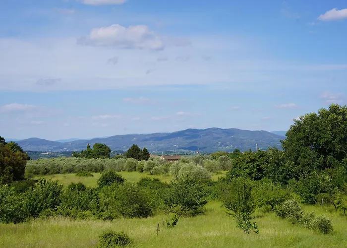 The Gardener - Charming
