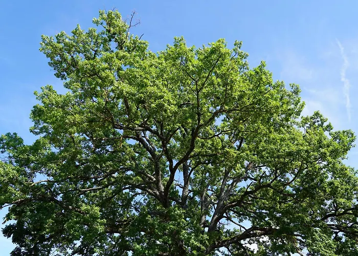The Gardener - Charming Mercatale Val Di Pesa